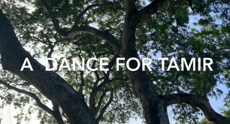 A Dance For Tamir Screenshot