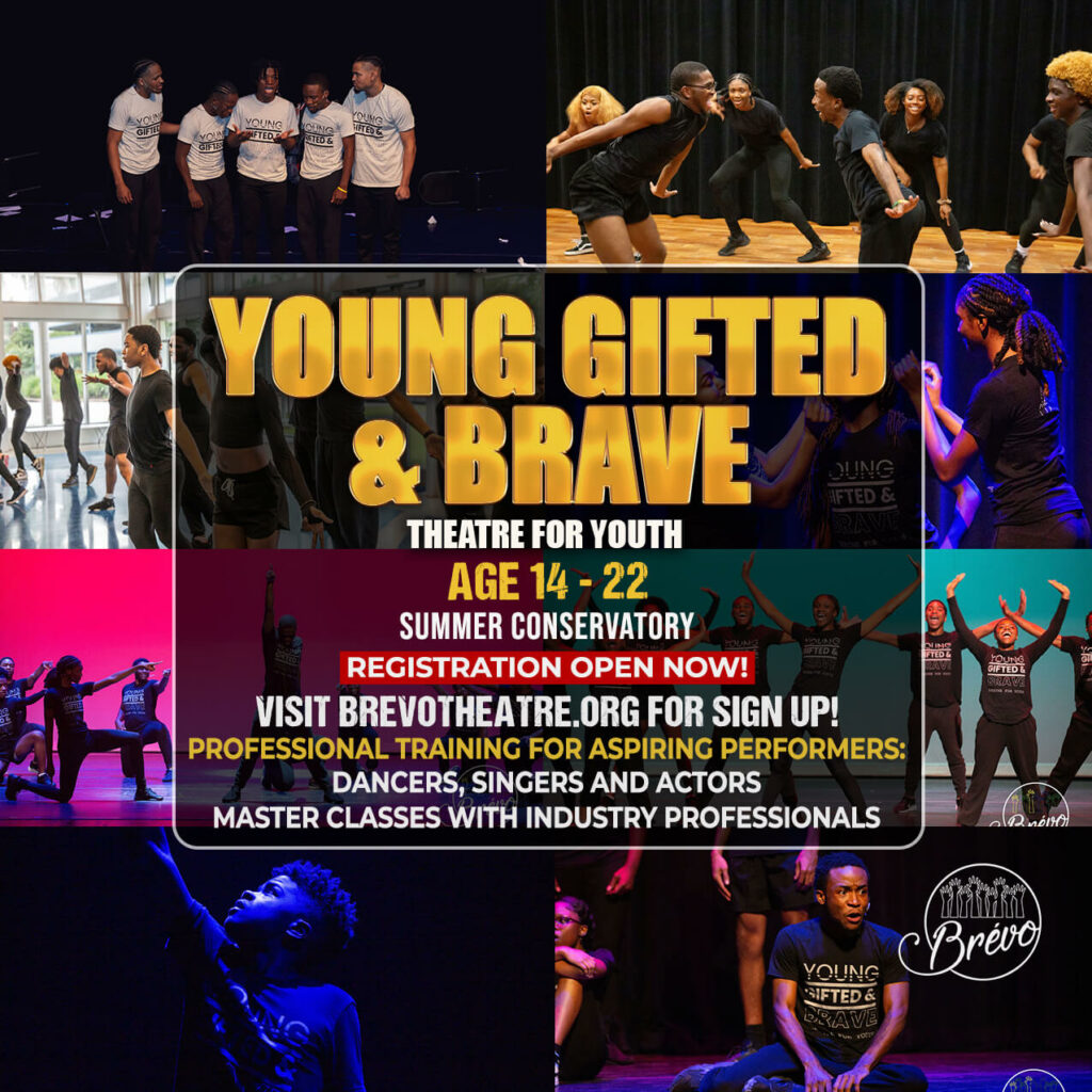 Young, Gifted, & Brave flyer